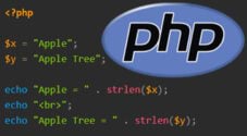 How to use the PHP strlen Function