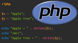 Using the break Statement in PHP - Pi My Life Up