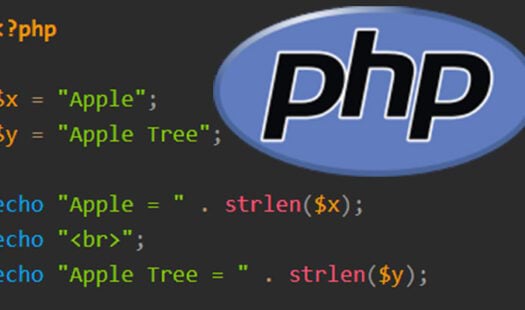 How to use the PHP strlen() Function Thumbnail