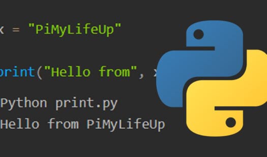 How to Use the print() Function in Python Thumbnail