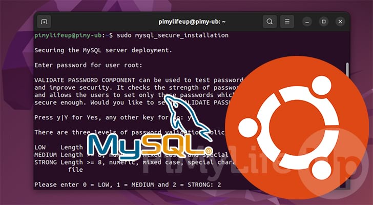 Ubuntu Install MySQL