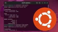 Ubuntu Flush DNS Cache