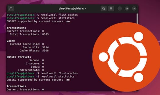 How to Flush the DNS Cache on Ubuntu Thumbnail