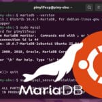 Install MariaDB on Ubuntu