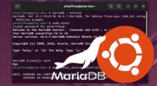 Install MariaDB on Ubuntu