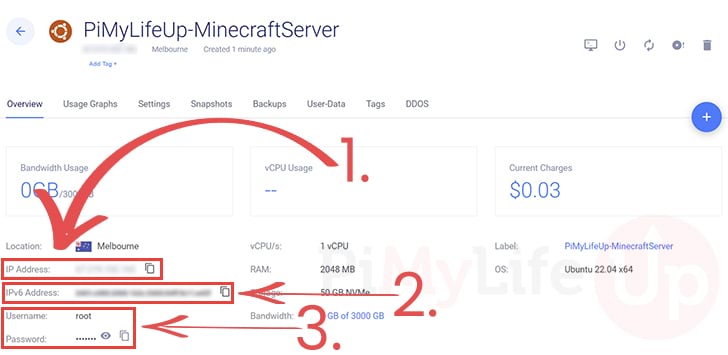 VPS Server Details