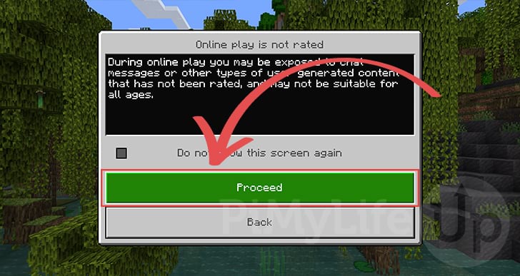 Minecraft online servers