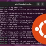 Ubuntu Restart Network