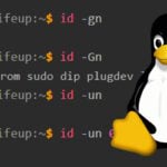 How to use the id Command in Linux