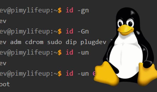 How to use the id Command in Linux Thumbnail