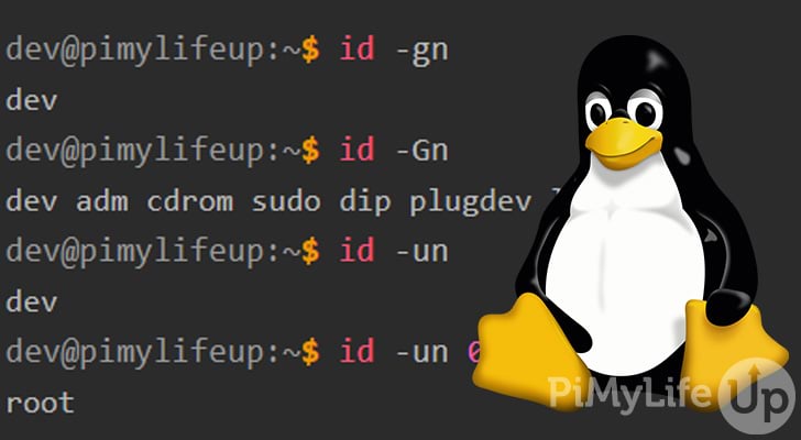 How to use the id Command in Linux