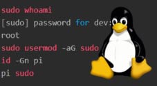 How to use the sudo Command in Linux