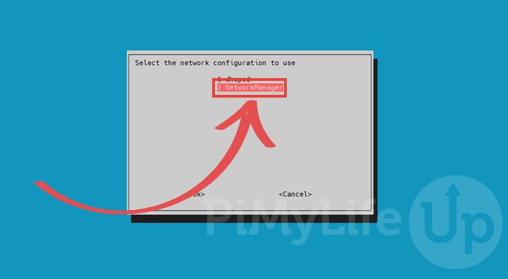 Enable NetworkManager on Raspberry Pi