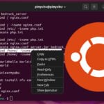 Ubuntu copy and paste in terminal