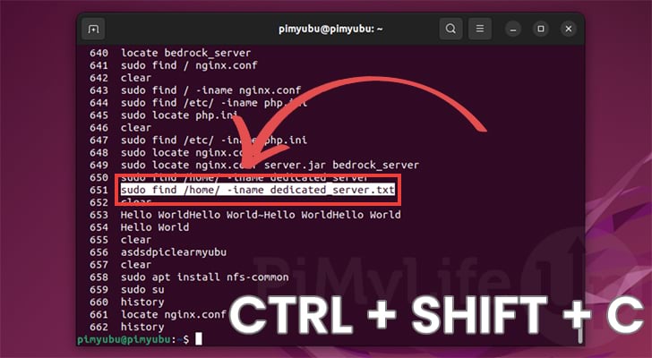 Ubuntu Copy in Terminal