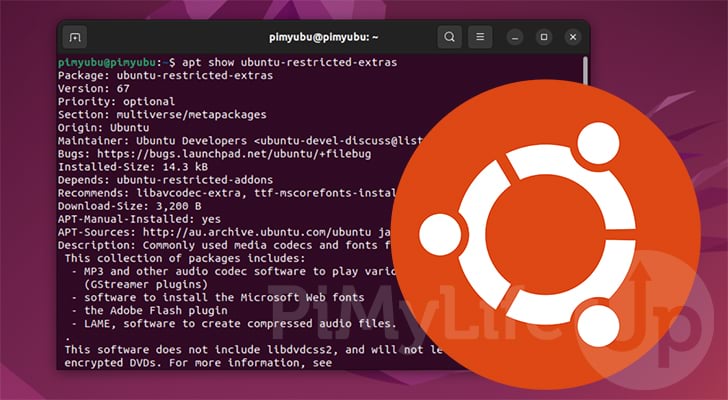 Downloading online flash games and playing it offline in ubuntu