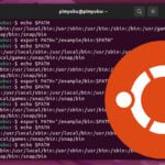 Ubuntu add to path