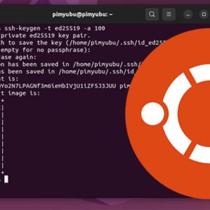 Learn How to Mount a Network Drive on Ubuntu using the Terminal - Pi My ...