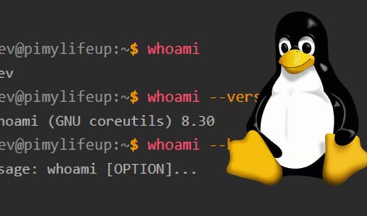 What is the whoami Command on Linux Thumbnail