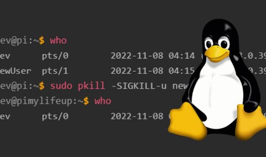 How to Logout a User on Linux Thumbnail