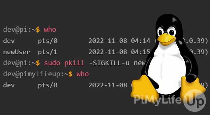 How to Logout a User on Linux