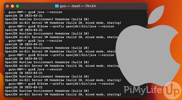 How to Install Java on a Mac - Pi My Life Up