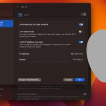 my mac has no ip address
