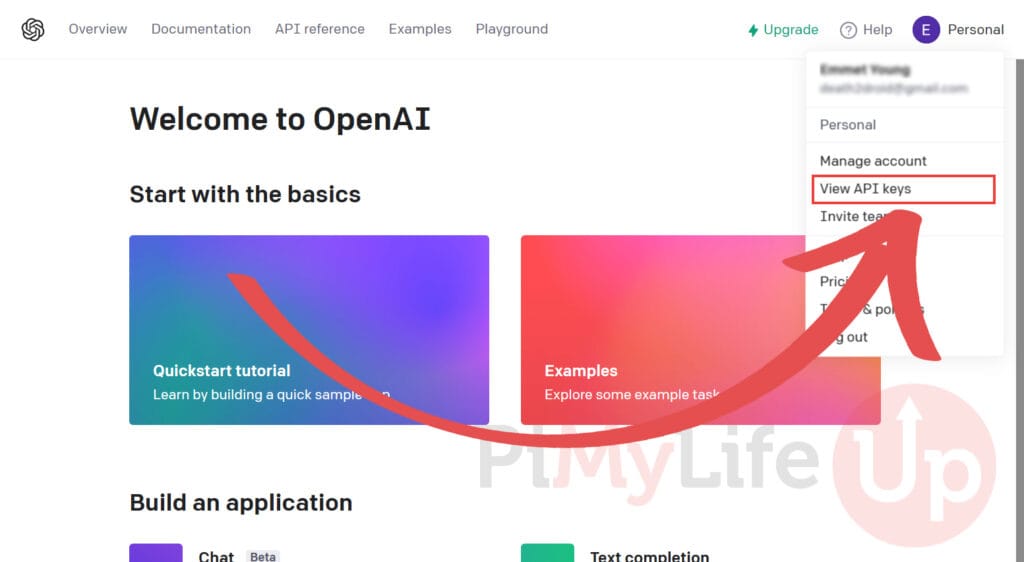 View OpenAI API Keys