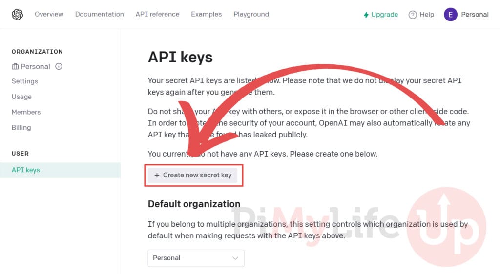 Generate new OpenAI Key for Auto-GPT on the Raspberry Pi