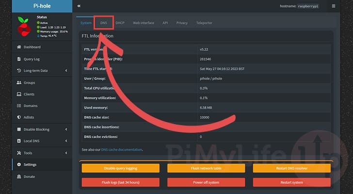 Change to Pi-Hole DNS settings