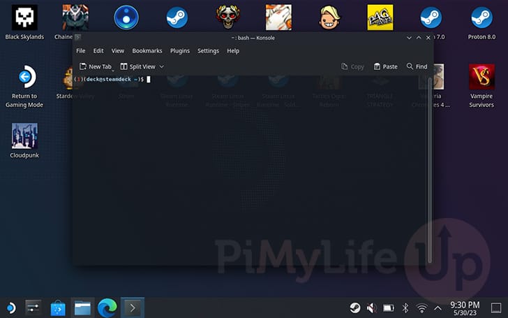 Terminal open on the Steam Deck