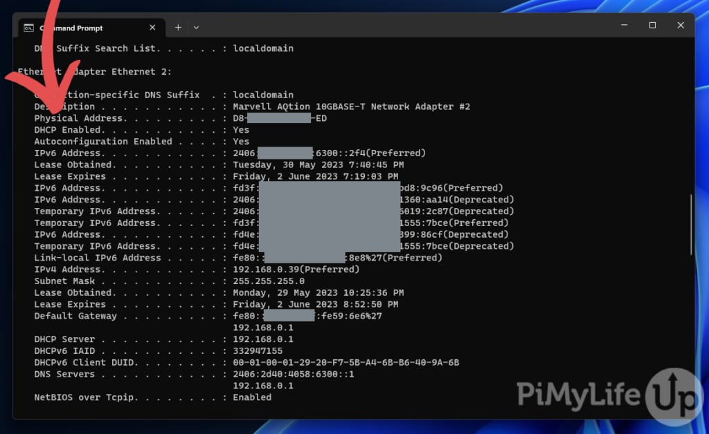 Physical Address for Network Device in Windows CMD