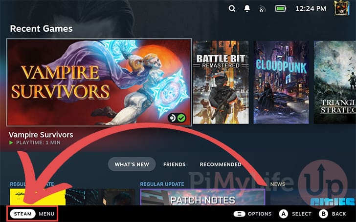 Open the Steam Menu