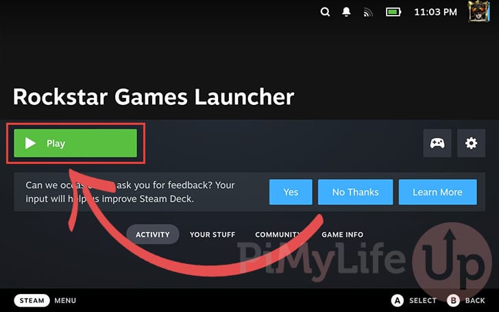 Launch the Rockstar Games Launcher