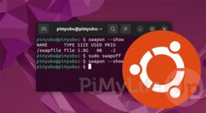 как удалить swap файл ubuntu