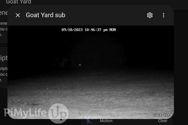 Goat Yard Camera Feed