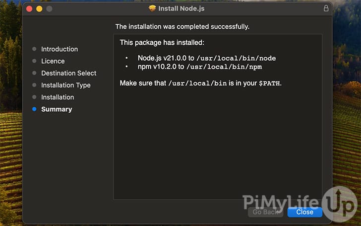 NodeJS and NPM Installed Successfully