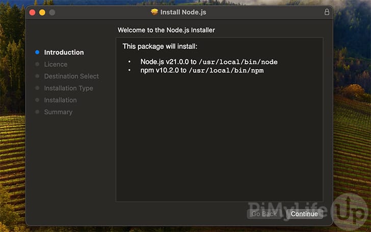 NodeJS and NPM Installer on macOS
