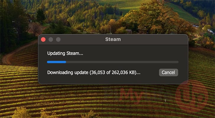 Steam downloading Full client to Mac