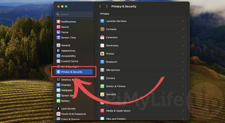 Open Privacy and Security Tab