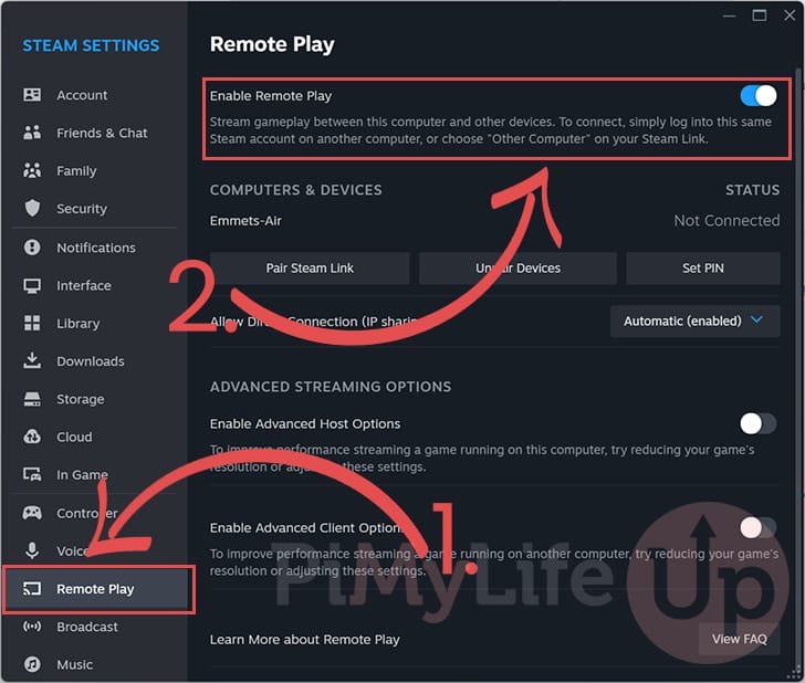 Enable Remote Play on STeam