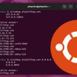 Ubuntu nslookup