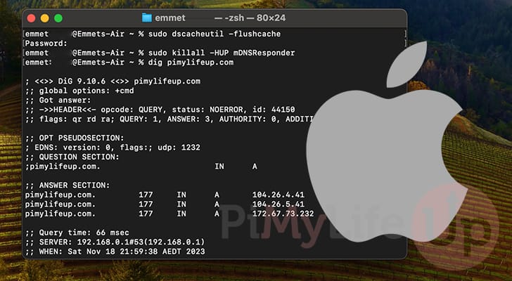 macOS Flush DNS Cache