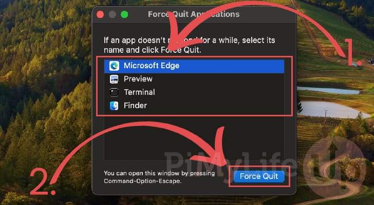 Force quit selected macos App