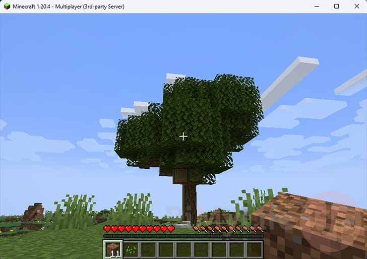 Connected to Minecraft Server