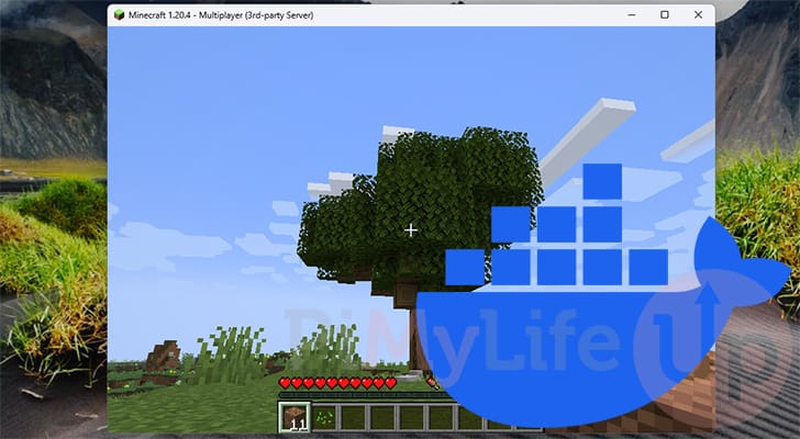 Minecraft Java Edition Docker Server