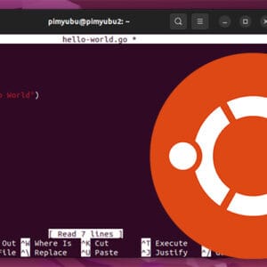 How to Copy and Paste in the Ubuntu Terminal - Pi My Life Up