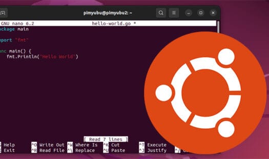 Installing the Go Compiler on Ubuntu Thumbnail