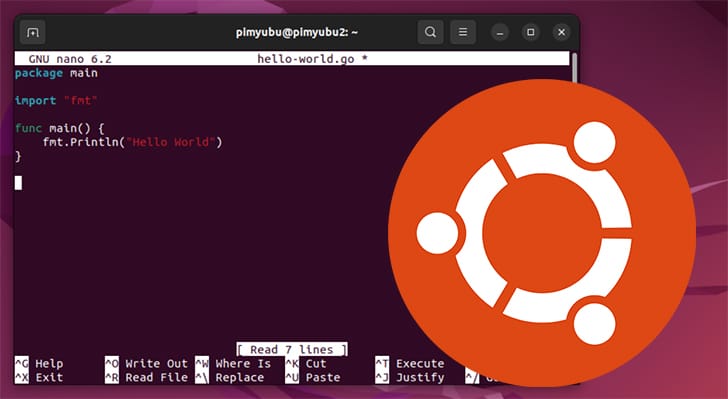 Installing the Go Compiler on Ubuntu
