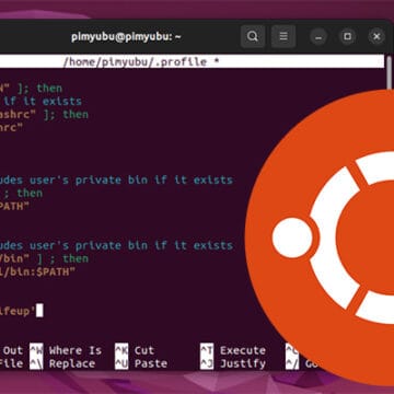 How to Set, List, and Use Environment Variables on Linux - Pi My Life Up